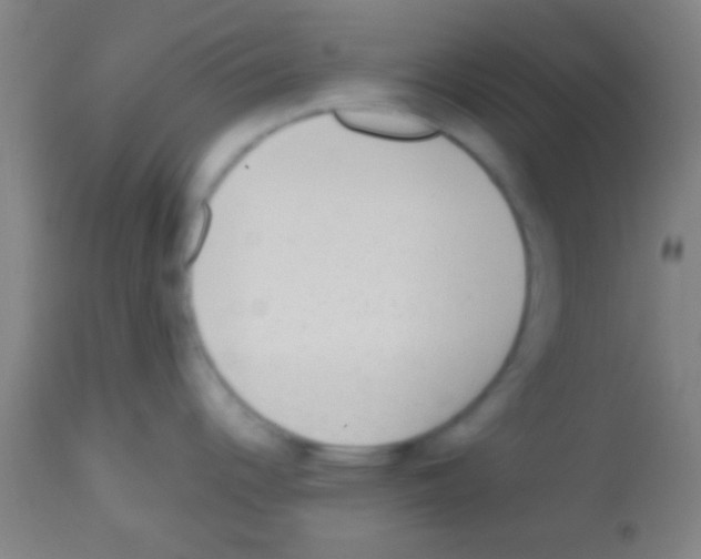 X0000113131344200910161123