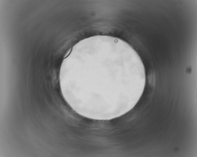 X0000113131347200910161122