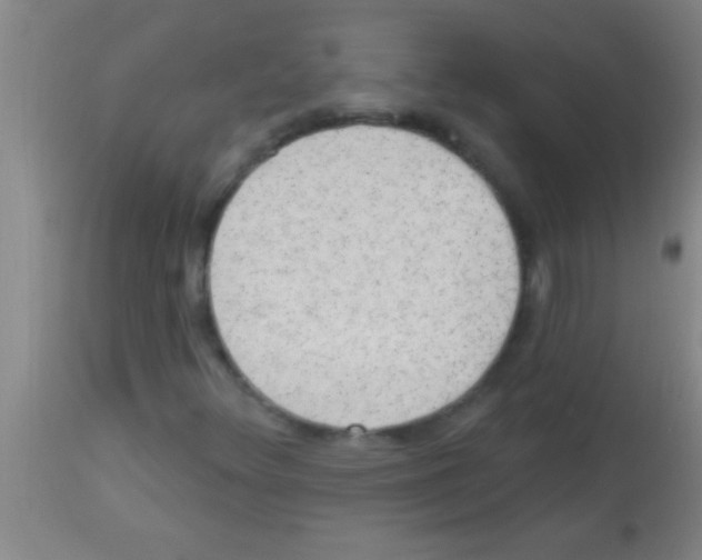 X0000113131348200910161122