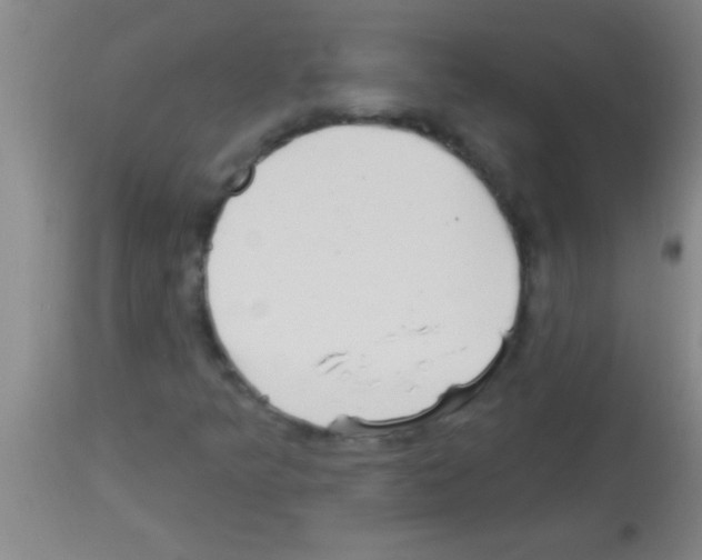 X0000113131349200910161122