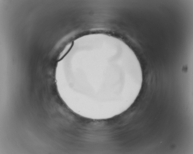 X0000113131351200910161122