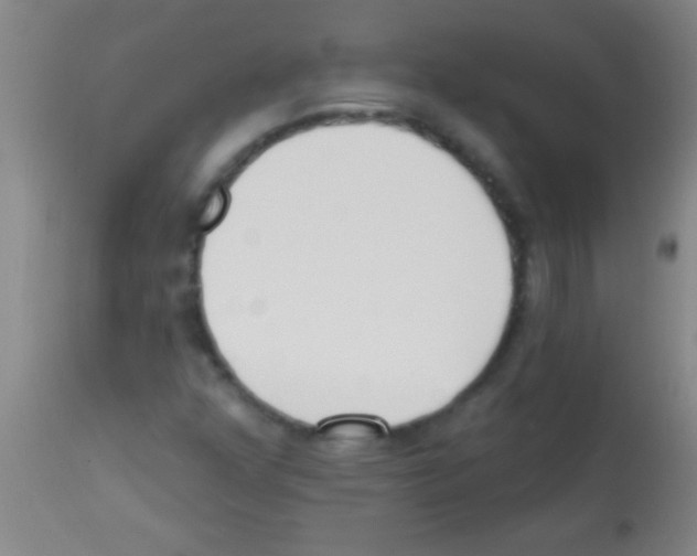 X0000113131352200910161122