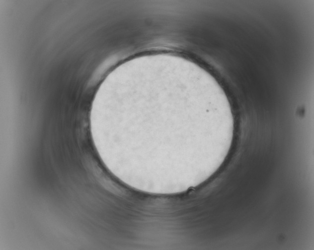 X0000113131355200910161122