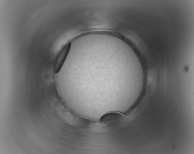 X0000113131357200910161122