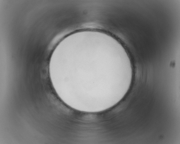 X0000113131358200910161122