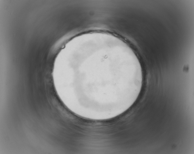 X0000113131359200910161122