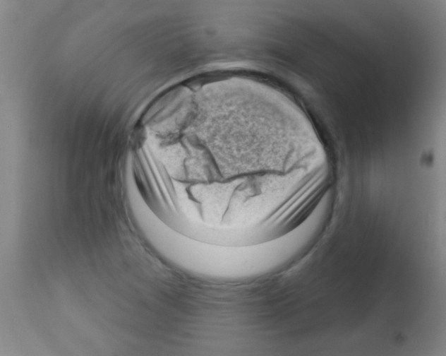 X0000113131361200910161122