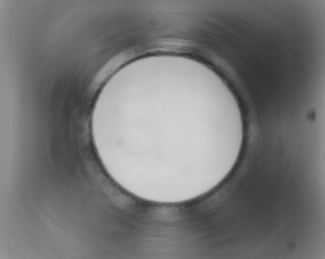 X0000113131362200910161122