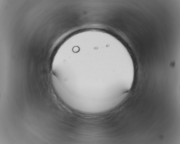 X0000113131364200910161122