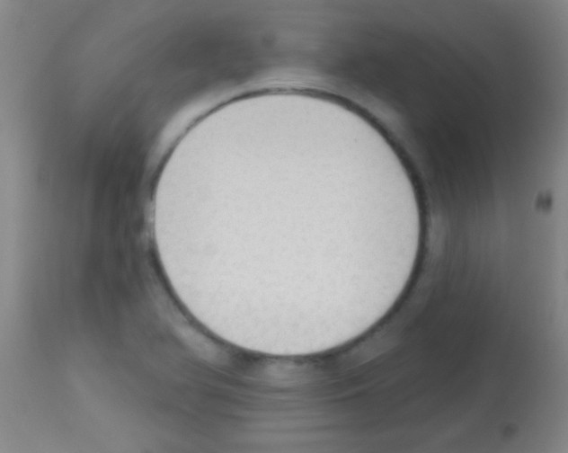 X0000113131366200910161122