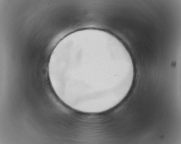 X0000113131367200910161122