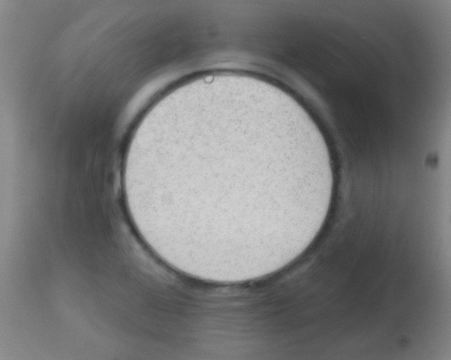 X0000113131368200910161122