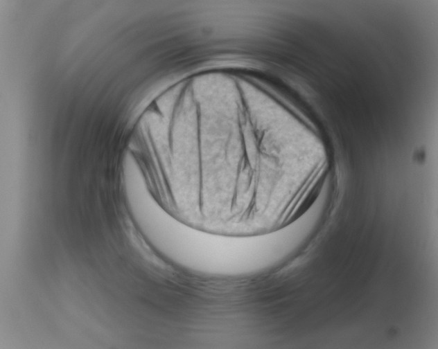 X0000113131369200910161122