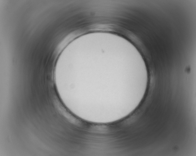 X0000113131370200910161122