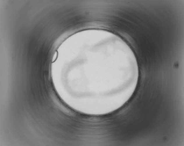 X0000113131371200910161122