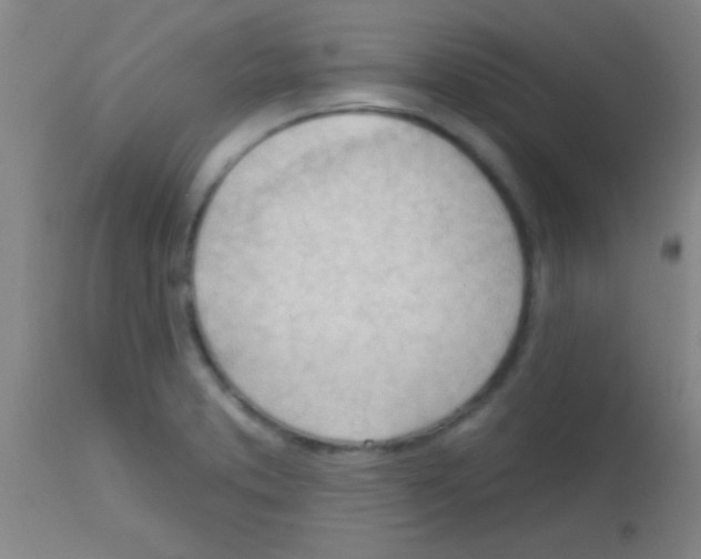 X0000113131373200910161122