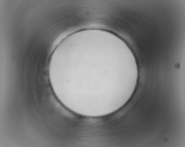 X0000113131374200910161122