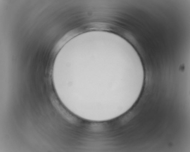 X0000113131378200910161122