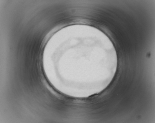 X0000113131379200910161121