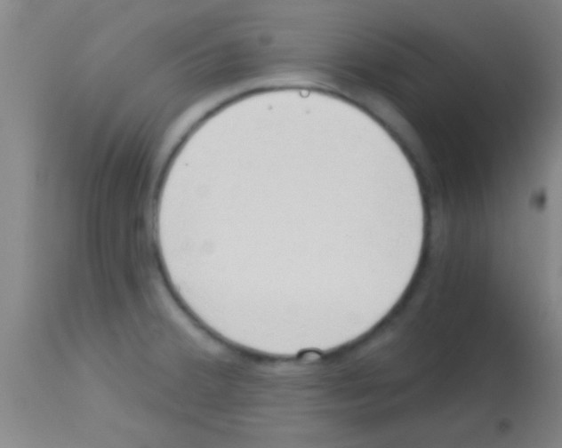 X0000113131380200910161121