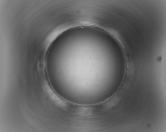 X0000113131381200910161121