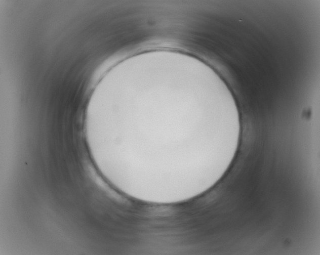 X0000113131382200910161121