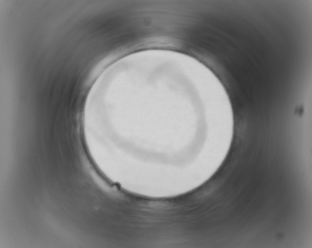 X0000113131383200910161121