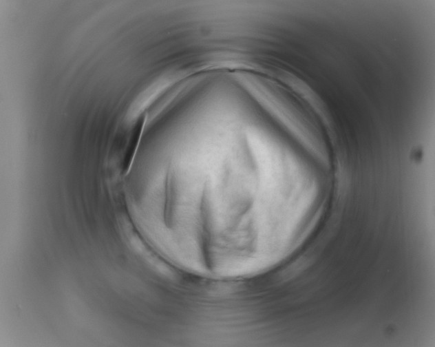 X0000113131385200910161121