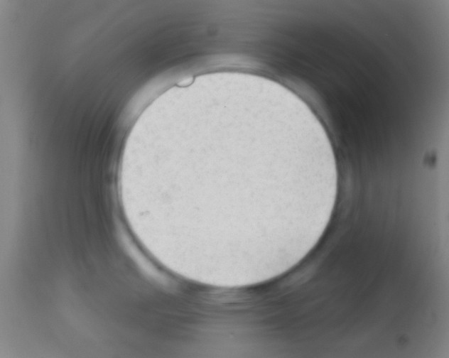 X0000113131391200910161121