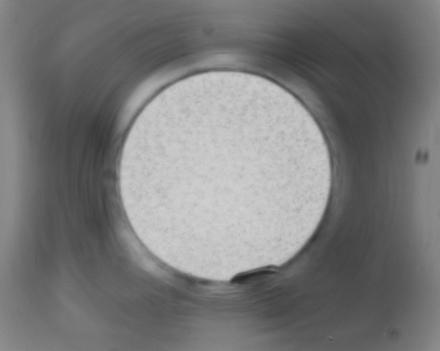 X0000113131392200910161121