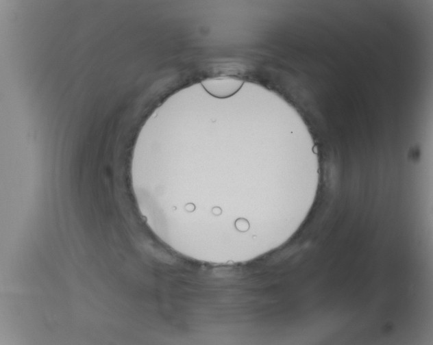 X0000113131393200910161120