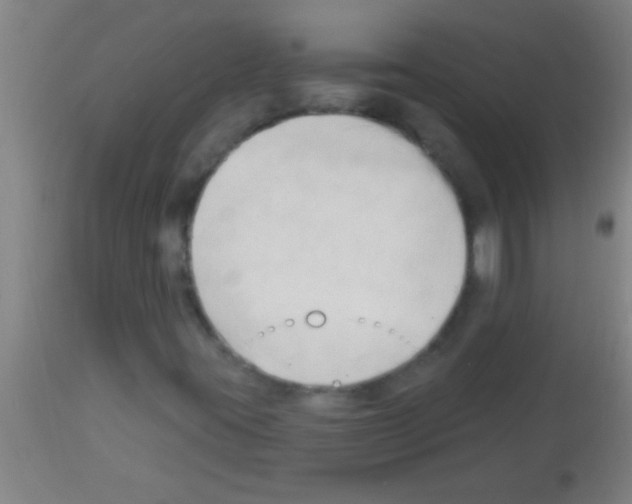 X0000113131395200910161120