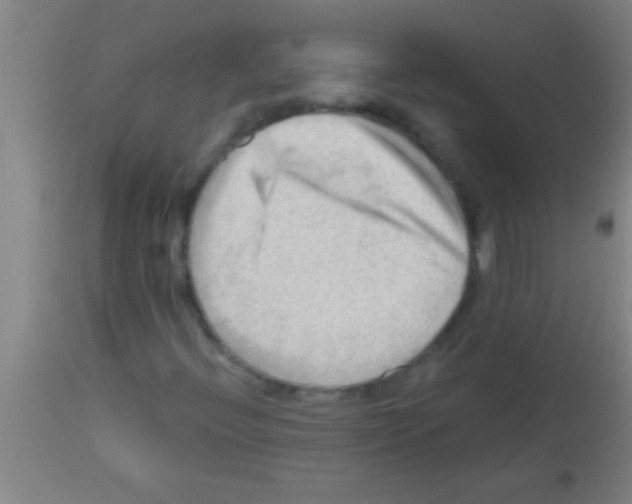 X0000113131396200910161120