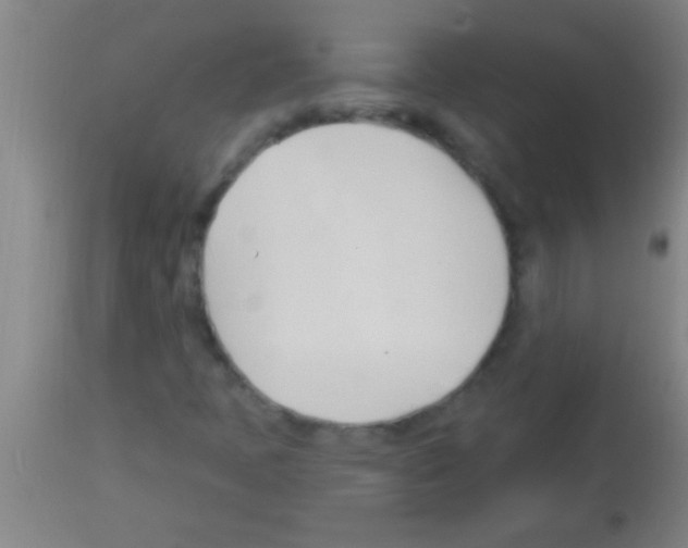 X0000113131397200910161120