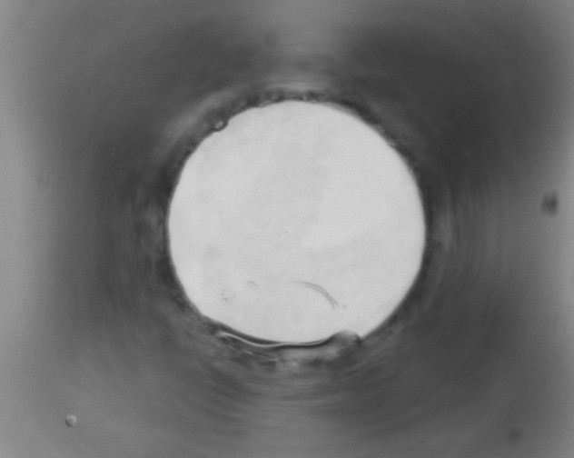 X0000113131398200910161120