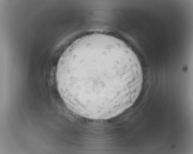 X0000113131399200910161120