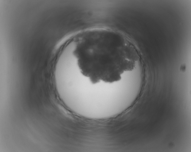 X0000113131400200910161120