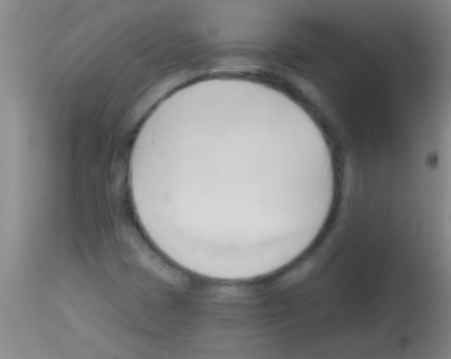 X0000113131401200910161120