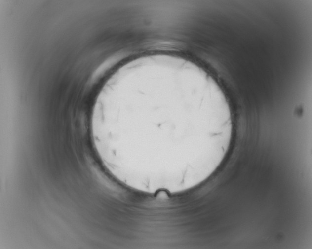 X0000113131402200910161120