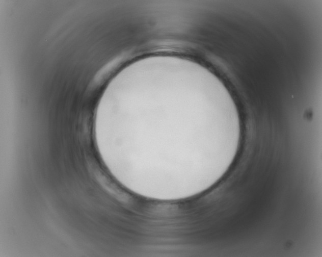 X0000113131403200910161120