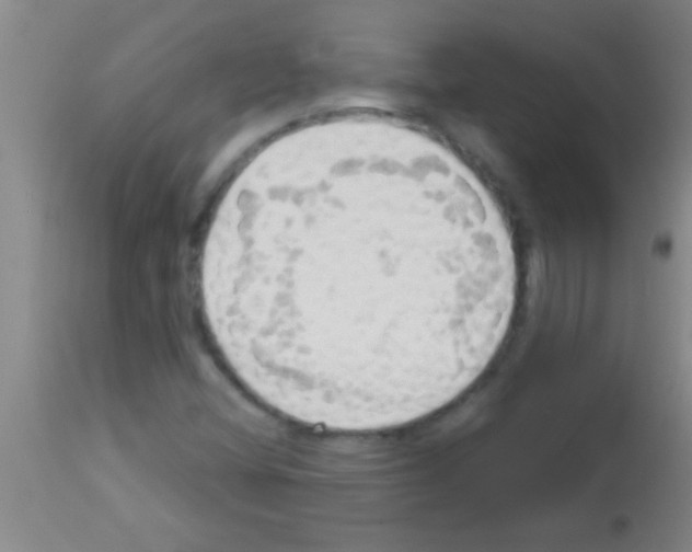 X0000113131404200910161120