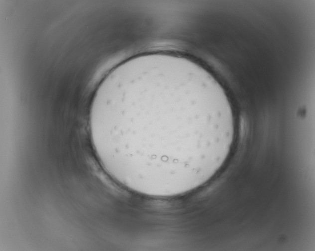 X0000113131405200910161120