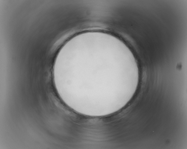 X0000113131407200910161121