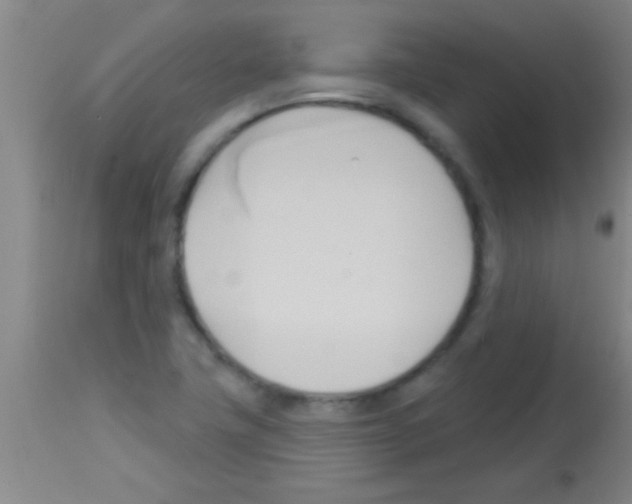 X0000113131411200910161121