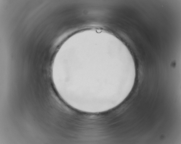 X0000113131412200910161121