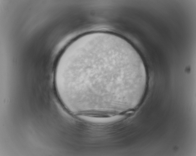 X0000113131414200910161121