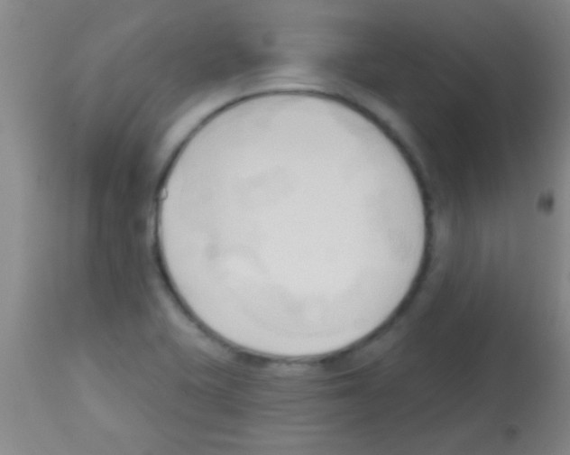 X0000113131415200910161121