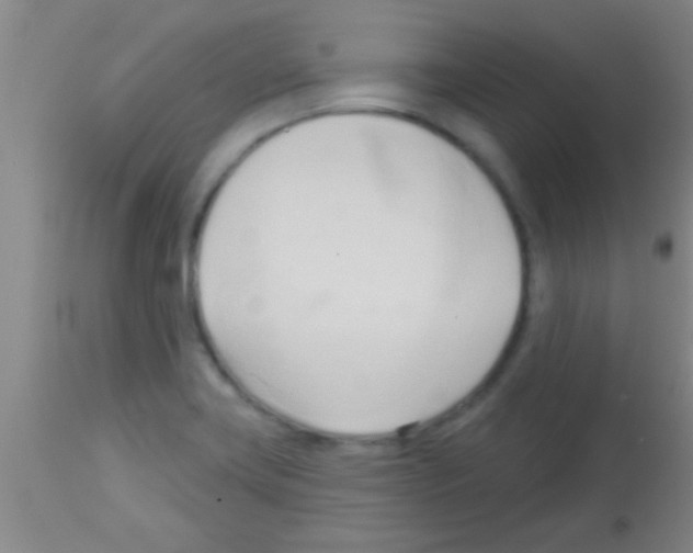 X0000113131419200910161121