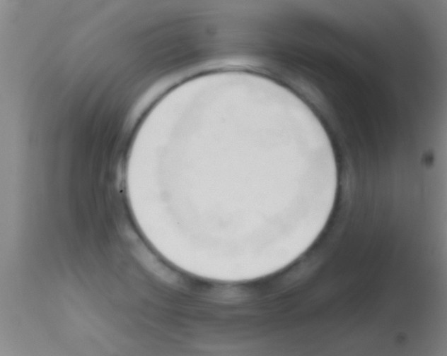 X0000113131420200910161121