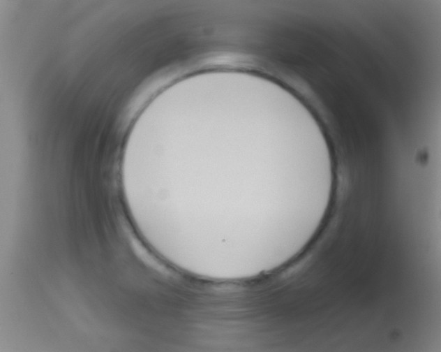 X0000113131421200910161121